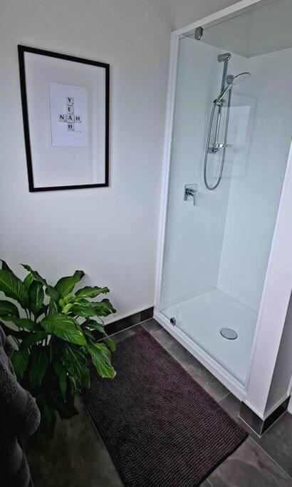 Apartment 4 - Haddin Court - Chic Ny Loft Style Blenheim Exterior photo